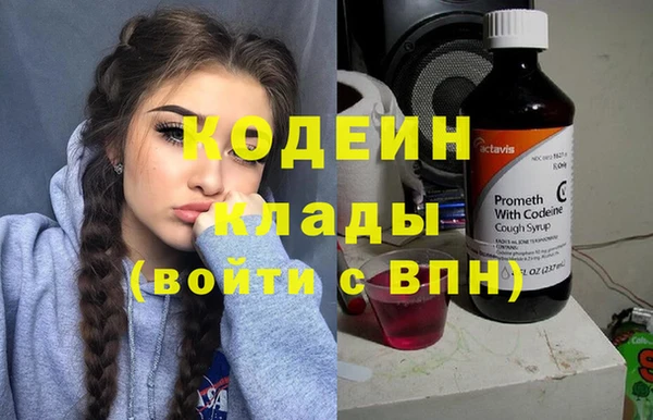 apvp Инсар