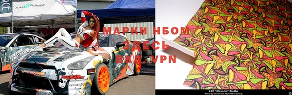 apvp Инсар